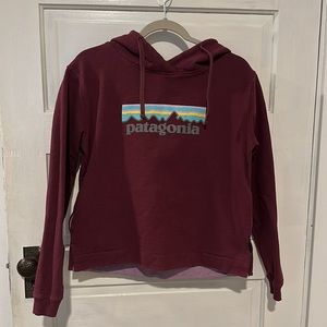 Women’s size small Patagonia Hoodie